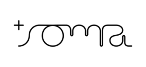 wisesense-logo-parceiros-soma